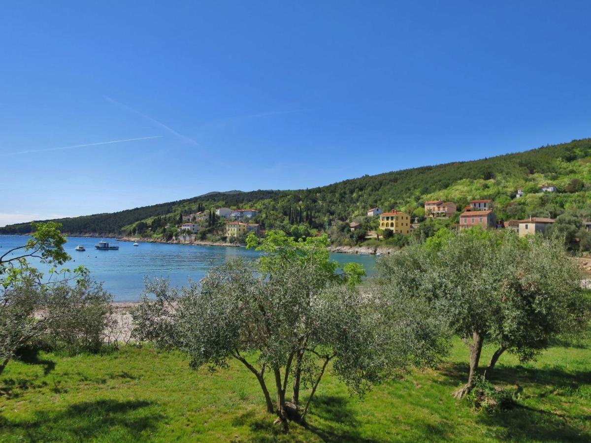 Apartment Violetta - LBN201 Labin  Esterno foto